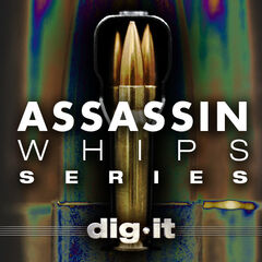 Assassan Whips Series