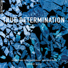 True Determination