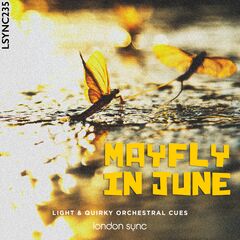 Mayfly In June