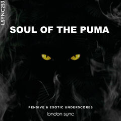 Soul Of The Puma