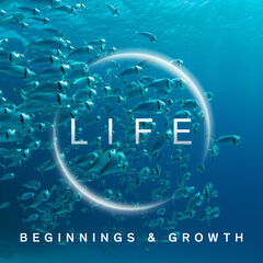 Life