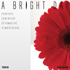 A Bright Day